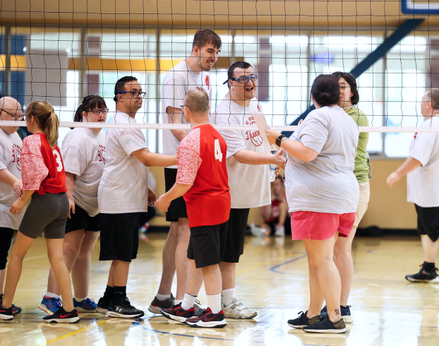 teams shaking hands